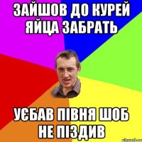 зайшов до курей яйца забрать уєбав півня шоб не піздив