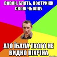 вован, блять, пострижи свою чьолку ато їбала твого не видно ніхріна