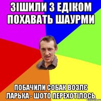 зішили з едіком похавать шаурми побачили собак возлє ларька - шото перехотілось