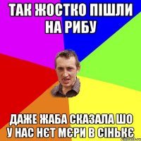 так жостко пішли на рибу даже жаба сказала шо у нас нєт мєри в сінькє