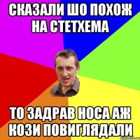 сказали шо похож на стетхема то задрав носа аж кози повиглядали