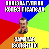 вилізла гуля на колесі лісапєда замотав ізолєнтою