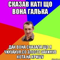 сказав каті що вона галька дак вона сказала що я чихуахуя,со злості закинув кота на кришу