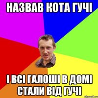 назвав кота гучі і всі галоші в домі стали від гучі