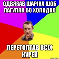 одвязав шаріка шоб пагуляв бо холодно перетоптав всіх курей