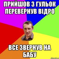 прийшов з гульок перевернув відро все звернув на бабу