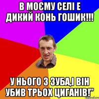 в моєму селі е дикий конь гошик!!! у нього 3 зуба,і він убив трьох циганів!"