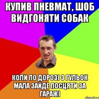 купив пневмат, шоб видгоняти собак коли по дорозі з гульок мала зайде посцяти за гаражі