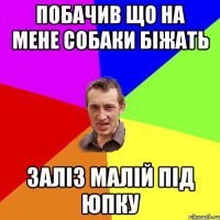 побачив що на мене собаки біжать заліз малій під юпку