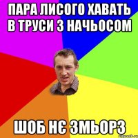 пара лисого хавать в труси з начьосом шоб нє змьорз