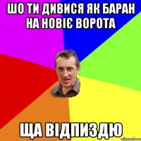 шо ти дивися як баран на новіє ворота ща відпиздю