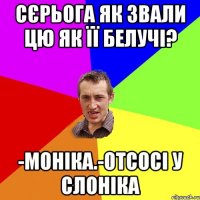 сєрьога як звали цю як її белучі? -моніка.-отсосі у слоніка