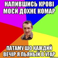 напившись крові моєй дохне комар патаму шо каждий вечір я пьяный в угар