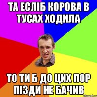 та есліб корова в тусах ходила то ти б до цих пор пізди не бачив