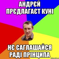 андрєй прєдлагаєт куні нє саглашайся раді прінципа