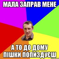 мала заправ мене а то до дому пішки попиздуєш