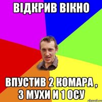 відкрив вікно впустив 2 комара , 3 мухи и 1 осу