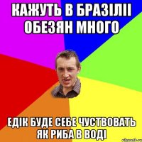 Кажуть в бразіліі обезян много Едік буде себе чуствовать як риба в воді