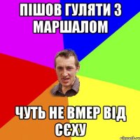 пішов гуляти з Маршалом чуть не вмер від сєху