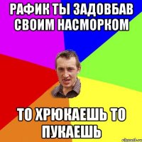 Рафик ты задовбав своим насморком То хрюкаешь то пукаешь