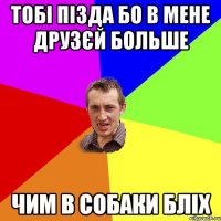 ТОБІ ПІЗДА БО В МЕНЕ ДРУЗЄЙ БОЛЬШЕ ЧИМ В СОБАКИ БЛІХ