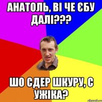 Анатоль, ві че єбу далі??? Шо сдер шкуру, с ужіка?