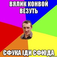 ВЯЛИК КОНВОЙ ВЕЗУТЬ СФУКА ІДИ СФЮДА