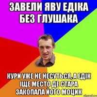 Завели Яву Едіка без глушака Кури уже не несуться, а Едік іще место де стара закопала його моцик