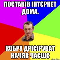 поставів інтєрнет дома. кобру дрісіруват начяв часшє