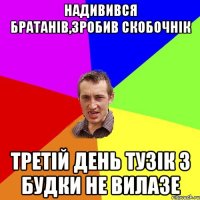 НАДИВИВСЯ БРАТАНІВ,ЗРОБИВ СКОБОЧНІК ТРЕТІЙ ДЕНЬ ТУЗІК З БУДКИ НЕ ВИЛАЗЕ