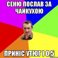 СЕНЮ ПОСЛАВ ЗА ЧАЙКУХОЮ ПРИНІС УТЮГ І О.5