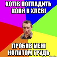 хотів погладить коня в хлєві пробив мені копитом грудь