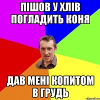 пішов у хлів погладить коня дав мені копитом в грудь