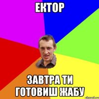 ЕКТОР ЗАВТРА ТИ ГОТОВИШ ЖАБУ