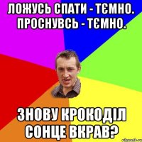 ЛОЖУСЬ СПАТИ - ТЄМНО. ПРОСНУВСЬ - ТЄМНО. ЗНОВУ КРОКОДІЛ СОНЦЕ ВКРАВ?