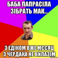 баба папрасіла зібрать мак... з едіком вже мєсяц з чердака не вилазім