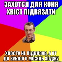 захотєл для коня хвіст підвязати хвоста не підвязав, а от до зубного місяць ходжу