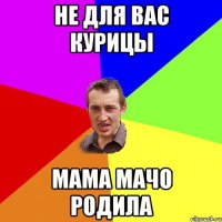 НЕ ДЛЯ ВАС КУРИЦЫ МАМА МАЧО РОДИЛА