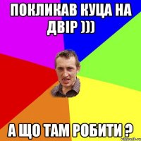 Покликав Куца на двір ))) А що там робити ?