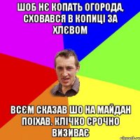 шоб нє копать огорода, сховався в копиці за хлєвом всєм сказав шо на майдан поіхав. клічко срочно визиває