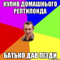 Купив домашнього рептилоида батько дав пізди