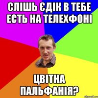 СЛІШЬ ЄДІК В ТЕБЕ ЕСТЬ НА ТЕЛЕХФОНІ ЦВІТНА ПАЛЬФАНІЯ?