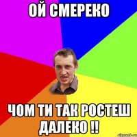 Ой смереко Чом Ти так ростеш далеко !!