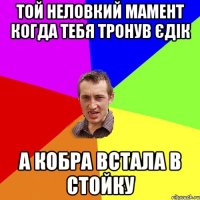 Той неловкий мамент когда тебя тронув єдік а кобра встала в стойку