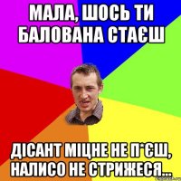 Мала, шось ти балована стаєш Дісант міцне не п*єш, налисо не стрижеся...