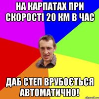 НА КАРПАТАХ ПРИ СКОРОСТІ 20 КМ В ЧАС ДАБ СТЕП ВРУБОЄТЬСЯ АВТОМАТИЧНО!