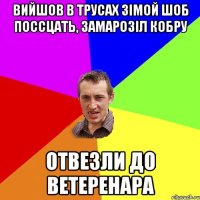 вийшов в трусах зімой шоб поссцать, замарозіл кобру отвезли до ветеренара