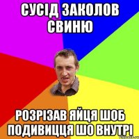 сусід заколов свиню розрізав яйця шоб подивицця шо внутрі