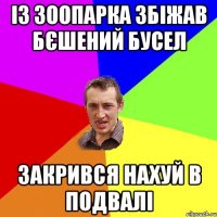 із зоопарка збіжав бєшений бусел закрився нахуй в подвалі