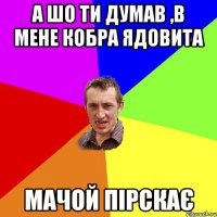 а шо ти думав ,в мене кобра ядовита мачой пірскає